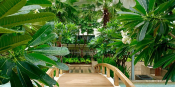 Bán Garden Villa Đảo Kim Cương, DT 208m2, sân vườn 100m2, giao thô, 16,2 tỷ.