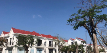 Apec Group chính thức nhận giữ chỗ phân khu Queen Garden đẹp nhất Royal Park Huế