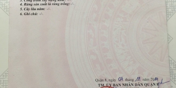 Nhà dễ mua, chính chủ bán, thích hợp cho người ở tỉnh mua nhà Sài Gòn