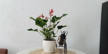 Cần cho thuê căn hộ La Astoria mặt tiền đường Nguyễn Duy Trinh quận 2