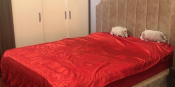 Căn hộ 2 phòng ngủ chung cư An Bình City full nội thất ,72m2, chỉ 13,5tr/tháng