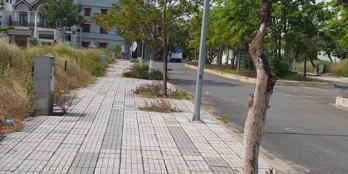 bán đất lấy tiền chữa dịch bán đất nền dự án elysia complex cyti