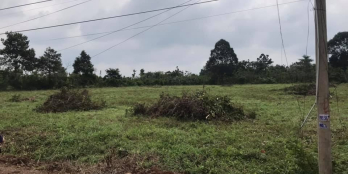 Bán đất thổ cư chính chủ , 215mw . Gía chỉ 800tr