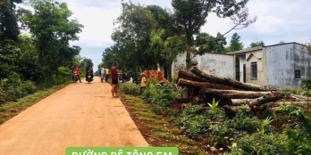 ĐANG CẦN GẤP 100tr, AI CỌC SỚM TÔI BÁN LUÔN LÔ ĐẤT  5x23m (60m2 ONT) GIÁ CHỈ 275