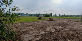 Bán đất thổ cư gần TT Hành chính Huyện Đức Hòa Long An