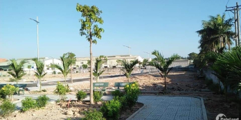 ket tiền cươí vợ cần bán gấp lô dất mặt tiền.sổ hồng riêng ,thổ cư 100%