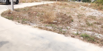 CẦN RA GẤP LÔ ĐẤT NGAY TRUNG TÂM THỊ TRẤN CHƠN THÀNH  BÌNH PHƯỚC