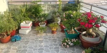 Bình Thạnh - Bán nhà HXH giá 65 triệu/m2, Phường 12, đường Ngô Đức Kế.