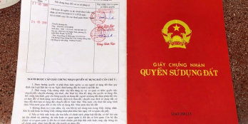 Chính chủ cần bán nhanh lô đất đường D5 nối dài, phường 25, quận Bình Thạnh