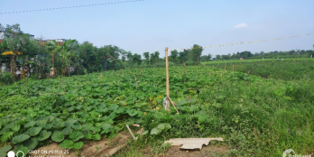 Đất thị xã. Cách trung tâm 3km, thích hợp xây nhà nghỉ dưỡng