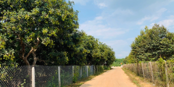 Sở hữu nông trại, nhà vườn cạnh Hồ Trị An, tỉnh Đồng Nai. Cách TPHCM chỉ 90km