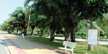 Cơ hội mua nhà khu Phú Mỹ Hưng giá mềm cùng căn hộ Viva Plaza Q7, 1.9 tỷ/căn