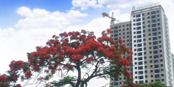 Sở hữu căn góc 3PN 107.9m2 Hồng Hà Eco City chỉ từ 18.9Tr/M2