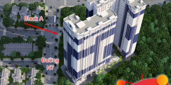 Chuyên gia nước ngoài quan tâm gì ở BD?  liên hệ 0941472007