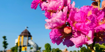 ĐẤT NỀN VEN BIỂN ĐÀ NẴNG - CƠ HỘI ĐẦU TƯ, AN CƯ HẤP DẪN