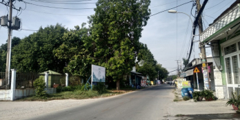 DO KHÔNG TIỀN XÂY NHÀ NÊN CẦN BÁN LẠI ĐẤT TẠI ĐG SỐ 7,X.TÂN THÔNG HỘI,H.CỦ CHI