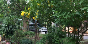 Cần Bán gấp lô đất đường Đặng Văn Ngữ, Phú Nhuận, Sổ riêng, 39m2 giá 2,4 tỷ.