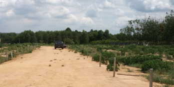 Bán gấp đất An Viễn Trảng Bom Giá rẻ 118m2