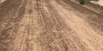 Bán đất diện tích 1000m2  20x50 tại Bình Phước giá RẺ 530 TRIỆU - LH 0387 535969