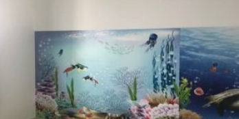 Bán biệt thự phong cách Châu Âu – P. Sơn Kỳ, Q. Tân Phú