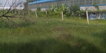 Đất Tân Nhật Bình Chánh Phù Hợp Đầu Tư, Xây Dựng Kho - Nhà Xưởng