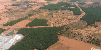 Đất vườn du lịch Bình Thuận đã có sổ , giá cực rẻ chỉ với 50.000đ/m2