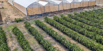 Đầu tư đất nền Bình Thuận đón đầu cơ sở hạ tầng,sinh lời cao - Gần QL1A,gần KDL