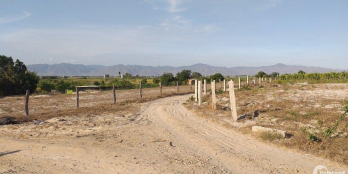 Chỉ 350 triệu sở hữu ngay 5000m2 đất vườn tại Bắc Bình – Bình Thuận, Sổ đỏ riêng