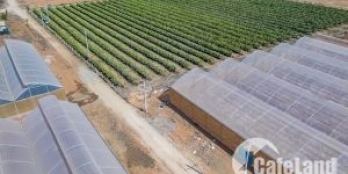 Đất Bình thuận 50K/m2, sổ từng nền gần biển gần núi đều có LIÊN HỆ: 0397669373