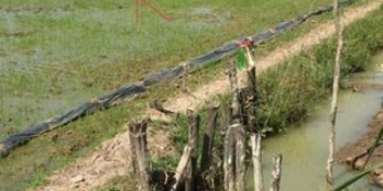 Bán lỗ đất chính chủ Tân Tây Gò Công đất đẹp gd nhanh