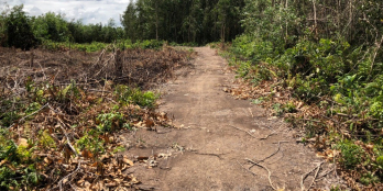 Bán 3000m2 đất nông nghiệp xã Phước Khánh, NT. Đường oto vào tới đất.