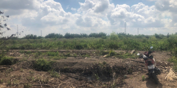 Đất nông nghiệp xã Phước Khánh giá rẻ đầu tư lâu dài . Ngay cụm KCN Ông Kèo