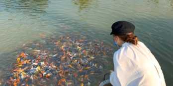 BÁN KHU SINH THÁI NINH HOÀ - KHÁNH HOÀ