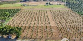 Đất vườn Bình Thuận mua giá Gốc từ dân