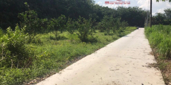 Cần bán đất gần Khu Công Nghiệp Phước Đông - Gò Dầu - Tây Ninh