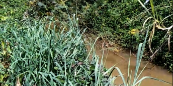 mã phí lèng Bảo Lộc 1tỷ 8 hơn 1000m2-phường Lộc Sơn