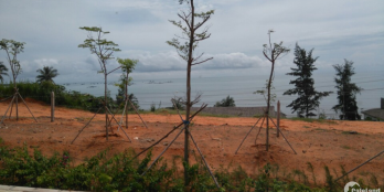 Cần Tiền Cần Bán Gấp Đất Nền Huỳnh Thúc Kháng