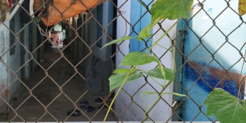 Đất thổ cư 100m2 Đường 11 Thủ Đức 