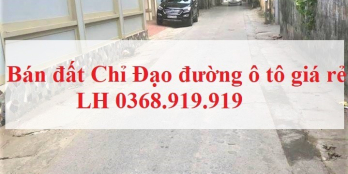 Bán đất Chỉ Đạo Văn Lâm 70,5m2 mt 4m ngõ 4,5m chỉ từ 420 triệu LH 0368.919.919
