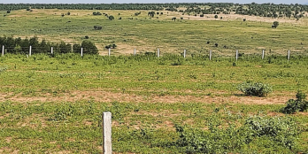 Bán Gấp lô đất Xã Phan Thanh-Bắc Bình SHR 6833m2, Giá chỉ 478triệu, sổ rất đẹp