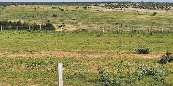 Đất vàng Bình Thuận,Gần Bàu Trắng giá chỉ có 50.000đ/m2 đã có sổ sẵn