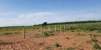 Lô đất Hồng Thái - Bắc Bình, Sổ đỏ 3725m2, giá chỉ 260 triệu. bao công chứng