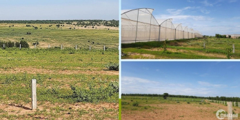 Đất quen biển có SHR, gần các khu du lịch lớn. chỉ từ 50ngàn - 70ngàn đồng/m2