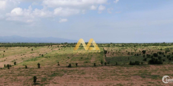 Tôi cần bán nhanh 9ha Sông Lũy, Bắc Bình, Bình Thuận. Sổ đỏ có sẳn