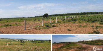 Bán đất chỉ có 210triệu được 3000 m2, sổ hồng riêng, sang tên ngay