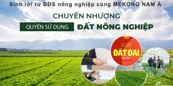 Đầu tư đất du lịch sinh thái Bắc Bình-Bình Thuận, Chỉ 50nghìn/m2 SHR từng lô
