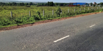 Bán gấp lô đất SHR 7544m2, giáp QL1A và DT 716