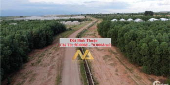 Bán đất Bắc Bình - Bình Thuận giá 65 Nghìn/m2. SHR 7544m2 Nằm ngay đường liên hu
