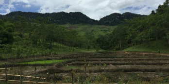 chuyển nhượng dự án 600 ha đất trồng dược liệu tại tỉnh hòa bình