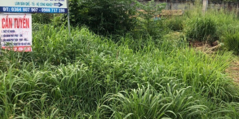 đất chính chủ ,sổ hồng riêng ,xã an phước ,long thành ,đồng nai